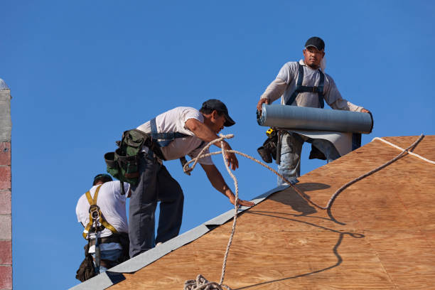 Best Storm Damage Roof Repair  in Pipestone, MN